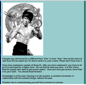 Bruce Lee_Jeet Kune Do is Just a Name